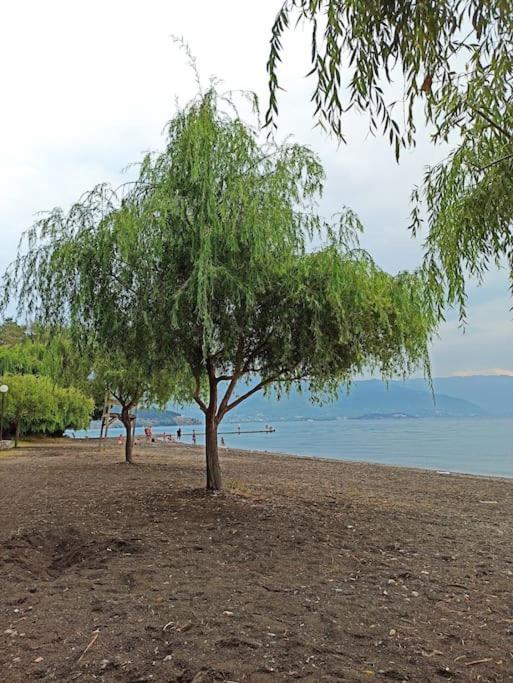 Luka Apartment In The Center Of Ohrid Exterior photo